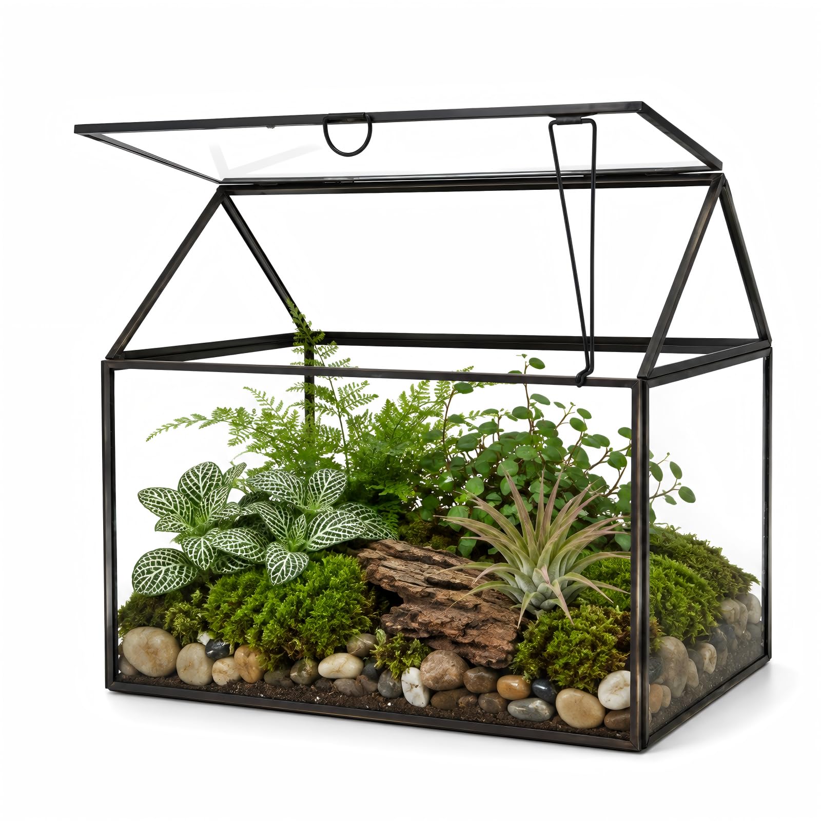 Black 1 Large Glass Plant Terrarium Kit with Lip Greenhouse for